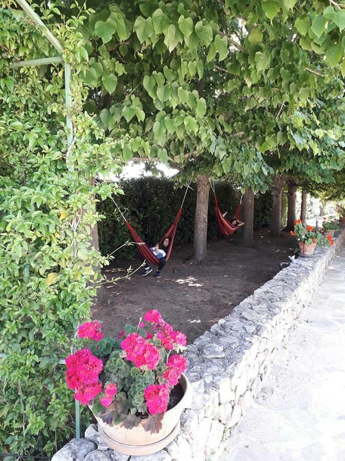 Villa Minerva Family Relais Alezio Bagian luar foto